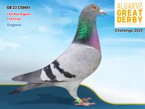 GB 23 C58491